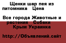 Щенки шар-пея из питомника › Цена ­ 15 000 - Все города Животные и растения » Собаки   . Крым,Украинка